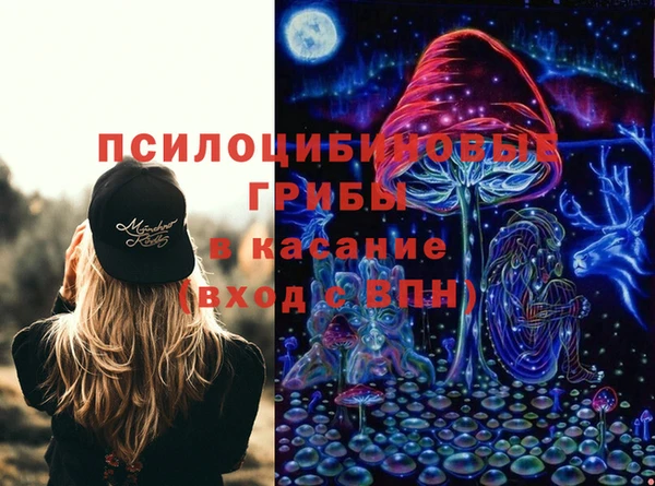 PSILOCYBIN Богданович